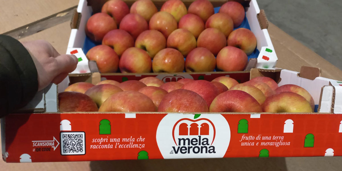 Prosegue il progetto di valorizzazione della Mela di Verona